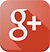 Google+